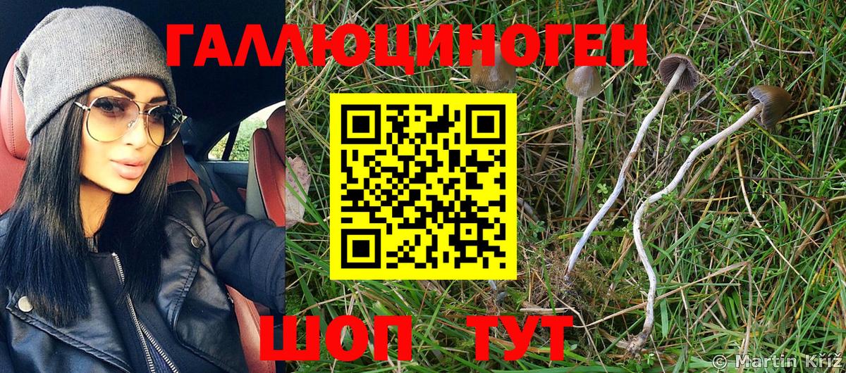 Галлюциногенные грибы MAGIC MUSHROOMS  Галлюциногенные грибы GOLDEN TEACHER  Вход с VPN  Миасс 